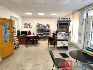Prodej obchodního prostoru, Znojmo, Velká Michalská, 326 m2