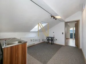 Prodej vícegeneračního domu, Regen,Německo, 213 m2