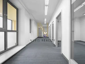 Pronájem kanceláře, Plzeň, Americká, 165 m2