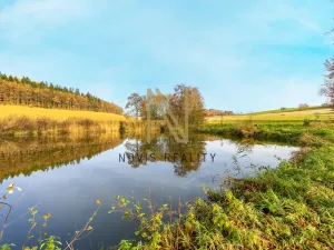 Prodej rybníku, Týnec, 2713 m2
