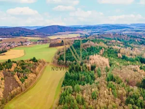 Prodej lesa, Chudenice, 7475 m2