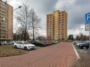 Prodej bytu 1+kk, Ostrava, Hornopolní, 29 m2