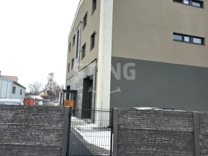 Pronájem bytu 3+kk, Opava, Wolkerova, 89 m2