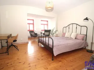 Pronájem bytu 3+kk, Písek - Vnitřní Město, Fráni Šrámka, 73 m2