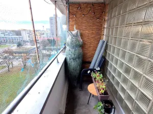 Pronájem bytu 3+kk, Pardubice, Jiřího Tomana, 61 m2