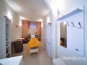 Prodej ordinace, Praha - Vinohrady, Soběslavská, 26 m2
