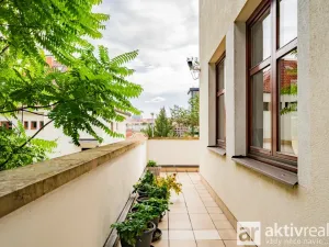 Pronájem bytu 4+kk, Praha - Vinohrady, Perucká, 180 m2