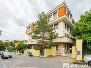 Pronájem bytu 4+kk, Praha - Vinohrady, Perucká, 180 m2