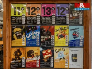 Prodej obchodního prostoru, Kraslice - Tisová, 560 m2