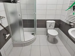 Pronájem bytu 1+kk, Tachov, 33 m2