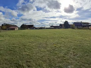 Prodej pozemku, Borovnice - Přestavlky, 3744 m2