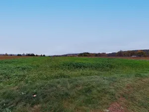 Prodej pozemku pro bydlení, Zruč nad Sázavou, 3495 m2