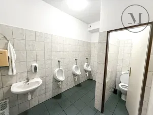 Pronájem výrobních prostor, Lišov, Miletínská, 1000 m2