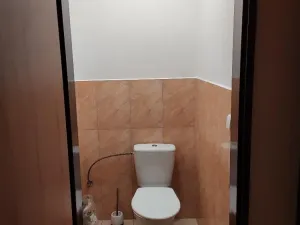 Pronájem bytu 1+kk, Prostějov, Olomoucká, 55 m2