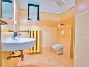 Prodej vícegeneračního domu, Velké Losiny, Žižkova, 431 m2