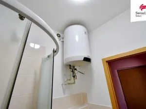 Prodej činžovního domu, Mladé Buky, 550 m2