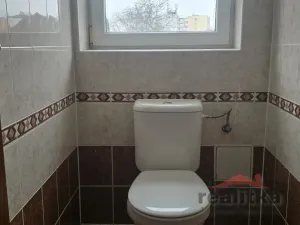 Pronájem bytu 3+kk, Opava, Bílovecká, 120 m2