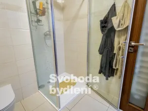 Prodej bytu 2+kk, Praha - Libeň, Prosecká, 64 m2