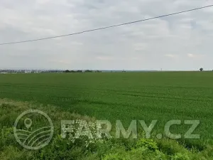 Prodej pole, Prostějov, 10959 m2