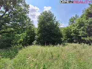 Prodej rodinného domu, Žítková, 80 m2