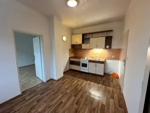 Pronájem bytu 2+1, Děčín, El. Krásnohorské, 47 m2