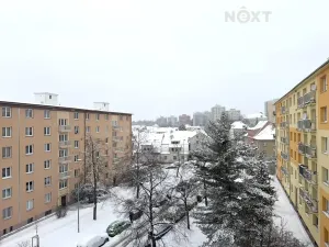 Prodej bytu 2+1, Praha - Žižkov, Pod lipami, 52 m2