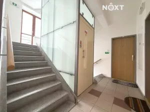 Prodej bytu 2+1, Praha - Žižkov, Pod lipami, 52 m2