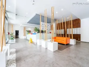 Pronájem bytu 2+kk, Praha - Holešovice, Jankovcova, 67 m2