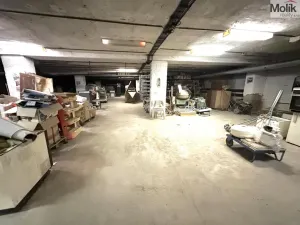 Pronájem skladu, Příbram - Příbram VII, Bož. Němcové, 1046 m2