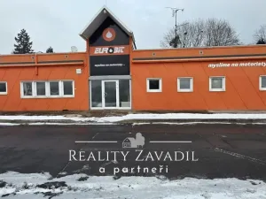 Pronájem obchodního prostoru, Ostrava, Těšínská, 100 m2