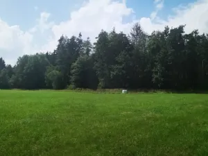 Prodej lesa, Nečín, 59470 m2