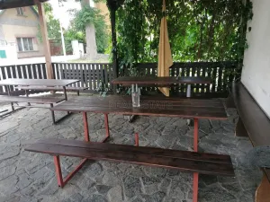 Pronájem restaurace, Opolany - Kanín, 100 m2