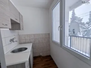 Pronájem bytu 1+kk, Bílina - Pražské Předměstí, Aléská, 28 m2