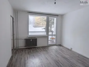 Pronájem bytu 1+kk, Bílina - Pražské Předměstí, Aléská, 28 m2