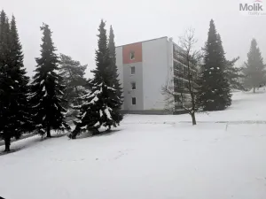 Pronájem bytu 1+kk, Bílina - Pražské Předměstí, Aléská, 28 m2