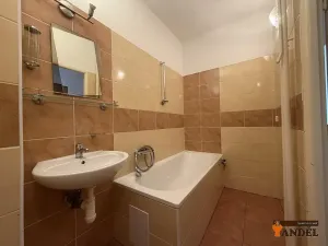 Pronájem bytu 1+1, Havířov, Okrajová, 35 m2