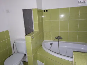 Pronájem bytu 2+1, Bílina - Teplické Předměstí, M. Švabinského, 56 m2