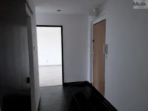 Pronájem bytu 2+1, Bílina - Teplické Předměstí, M. Švabinského, 56 m2