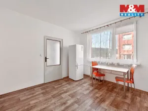 Pronájem bytu 1+1, Ústí nad Labem - Střekov, Žukovova, 35 m2