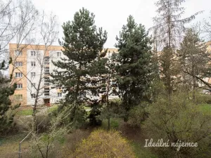 Prodej bytu 2+1, Praha - Malešice, Počernická, 54 m2