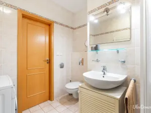 Prodej bytu 2+kk, Praha - Žižkov, Lukášova, 51 m2