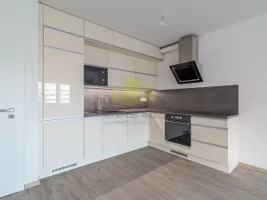 Pronájem bytu 2+kk, Olomouc, Šantova, 68 m2