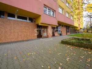 Prodej bytu 1+1, Ostrava, Josefa Kotase, 34 m2