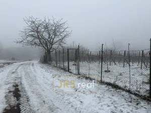 Prodej pozemku, Valtice - Úvaly, 1266 m2