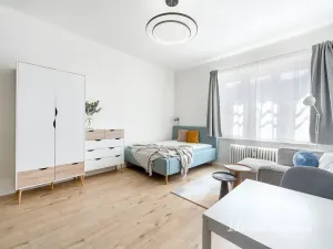 Pronájem bytu 1+kk, Praha - Nusle, U křížku, 28 m2