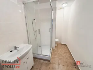 Prodej bytu 2+kk, Mlékojedy, 54 m2