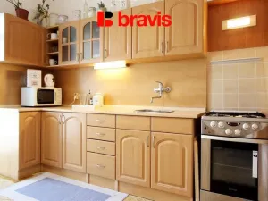 Pronájem bytu 1+1, Brno, Žižkova, 53 m2