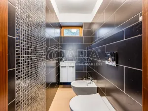 Pronájem vily, Roztoky, Nad vinicemi, 393 m2