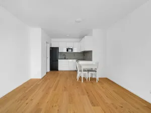 Pronájem bytu 2+kk, Brno - Zábrdovice, Bratislavská, 48 m2