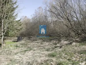 Prodej pozemku pro bydlení, Horní Vltavice, 4794 m2